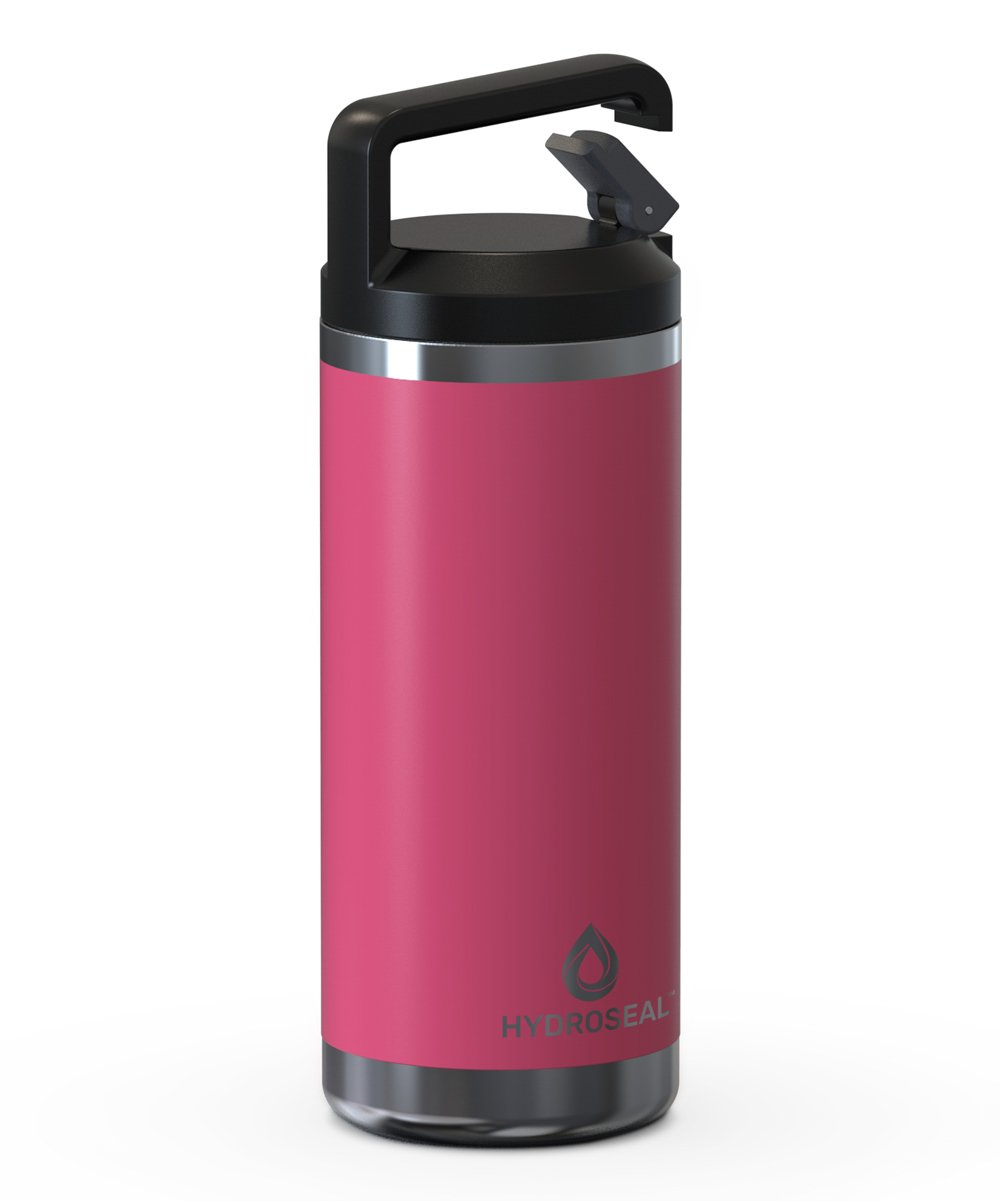 16oz Insulated Stainless Steel Water Bottle